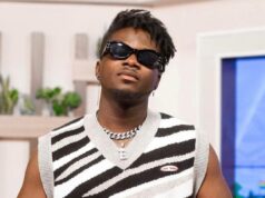 I’ll never work with quick-tempered Guru who insulted my family – Kuami Eugene